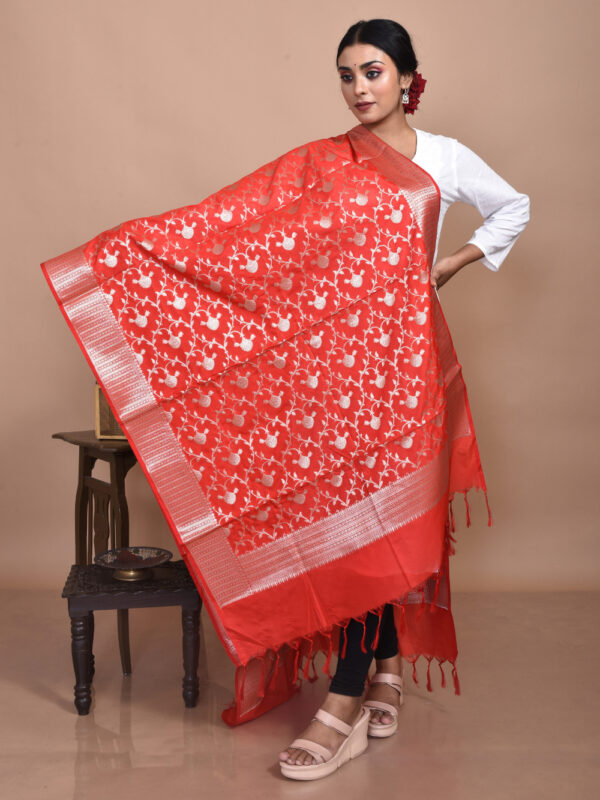 Red Minakari Banarasi Dupatta