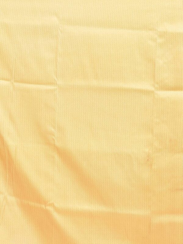 Golden Semi Silk Kanjeevaram Saree - Image 7